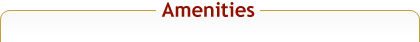 Amenities Icons Title